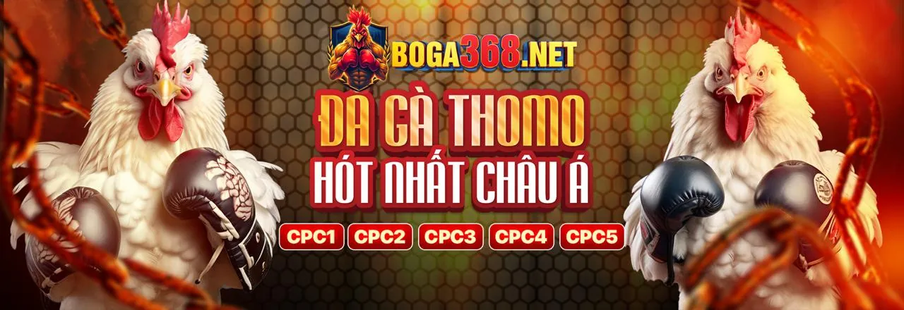 Sân chơi đá gà trực tuyến vz88. com